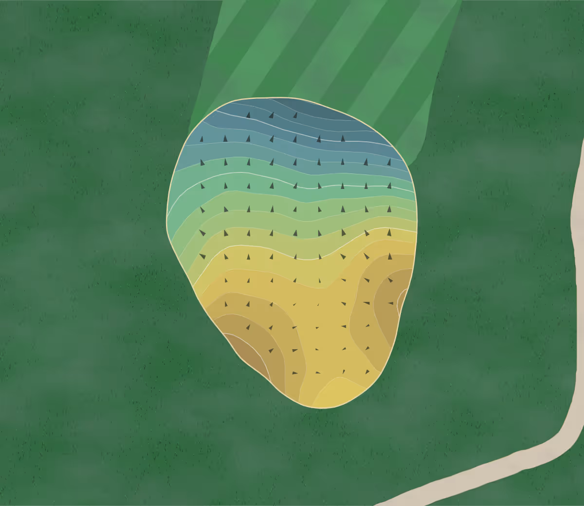 Green contour map of Augusta Pines in Spring, Texas — 209 elevation contours at a 3-inch interval with fall-line arrows, traced from 1-meter lidar