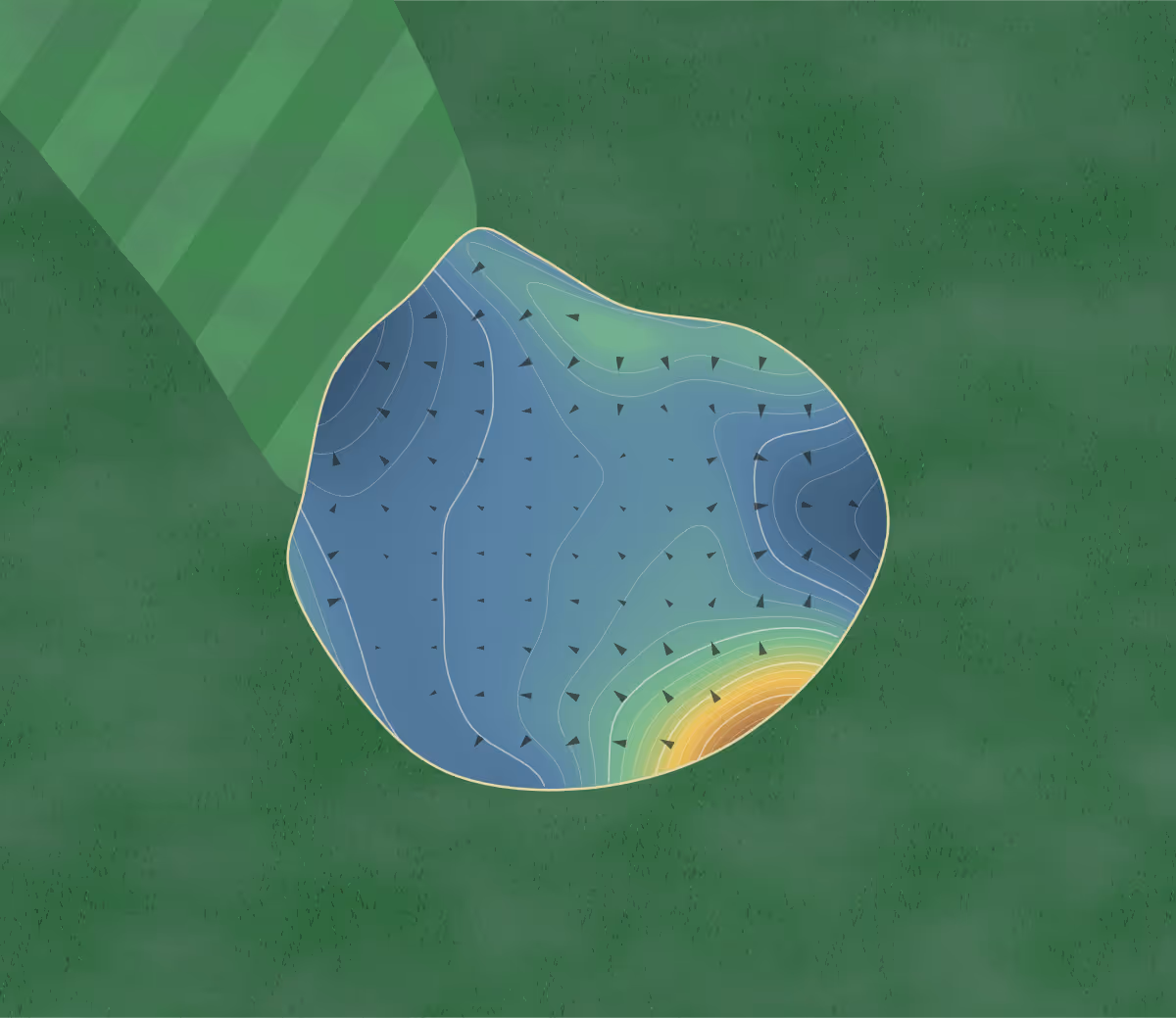 Green contour map of Avondale in Christchurch, New Zealand — 195 elevation contours at a 8-centimeter interval with fall-line arrows, traced from 1-meter lidar