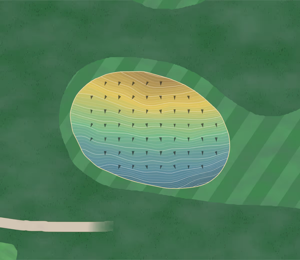 Green contour map of Bürgenstock in Obbürgen, Switzerland — 339 elevation contours at a 8-centimeter interval with fall-line arrows, traced from 1-meter lidar