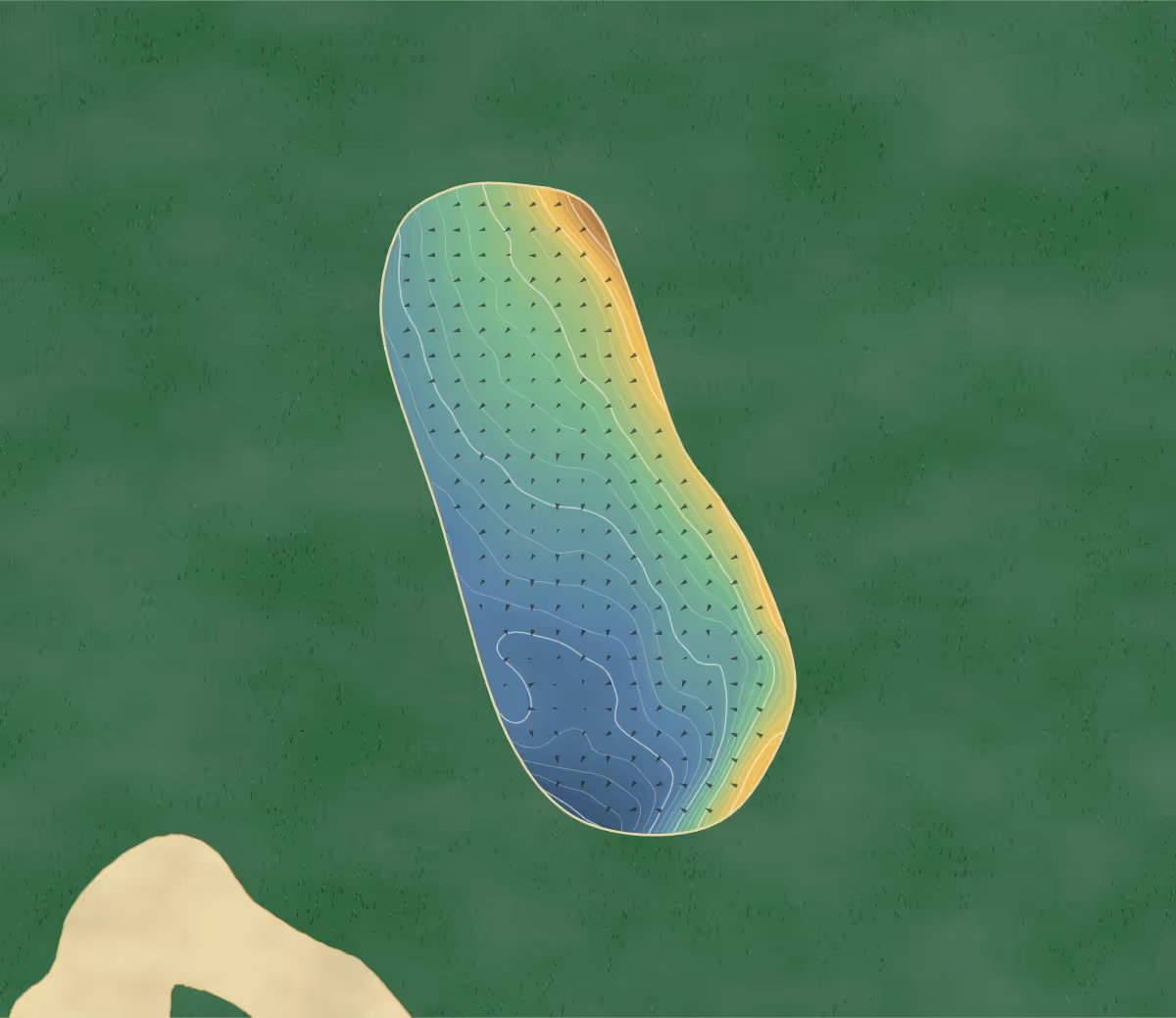 Green contour map of Bærum Golfklubb in Lommedalen, Norway — 194 elevation contours at a 8-centimeter interval with fall-line arrows, traced from 1-meter lidar