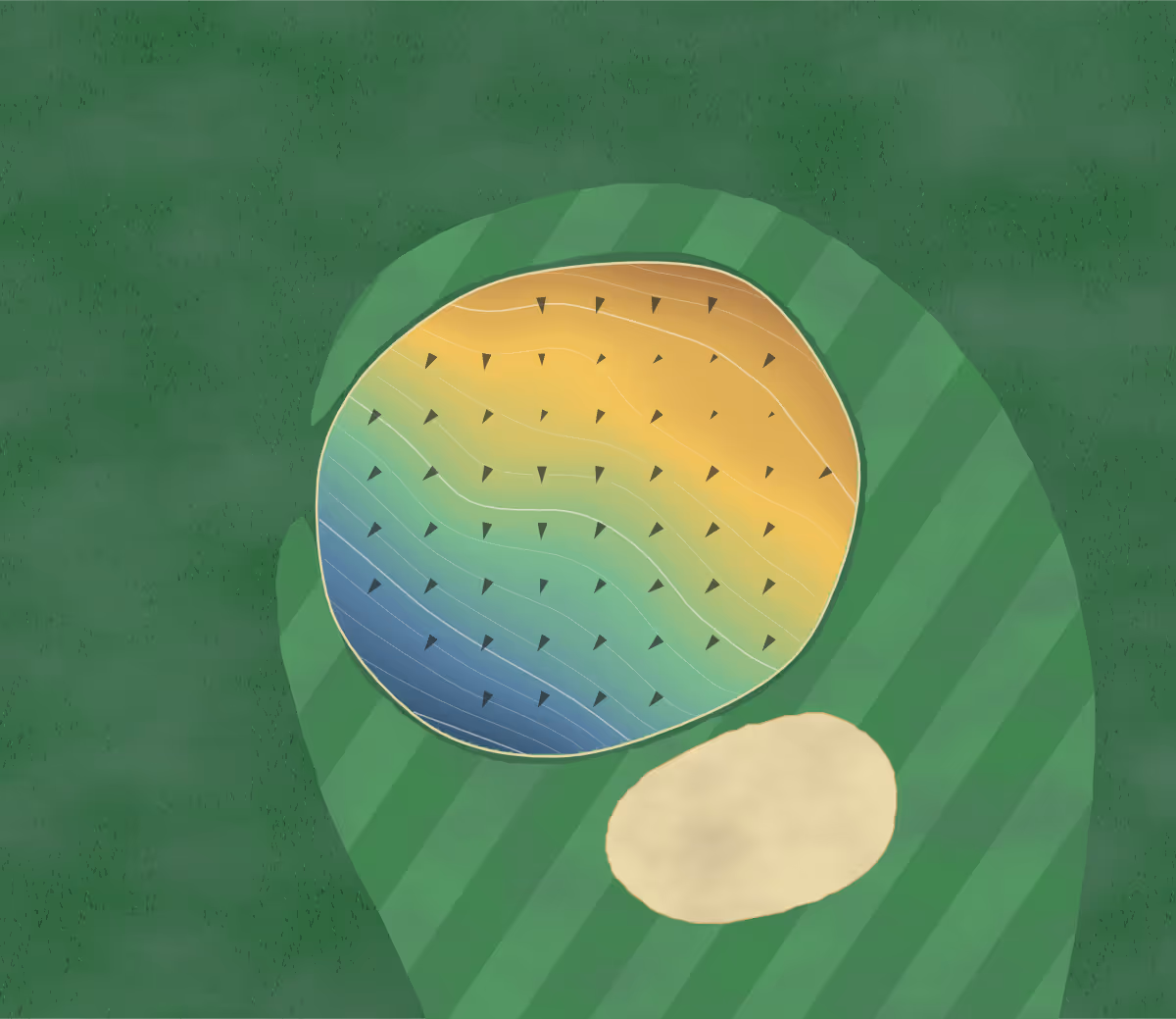 Green contour map of Backbone in Strawberry Point, Iowa: 94 elevation contours at a 3-inch interval with fall-line arrows, traced from 1-meter lidar