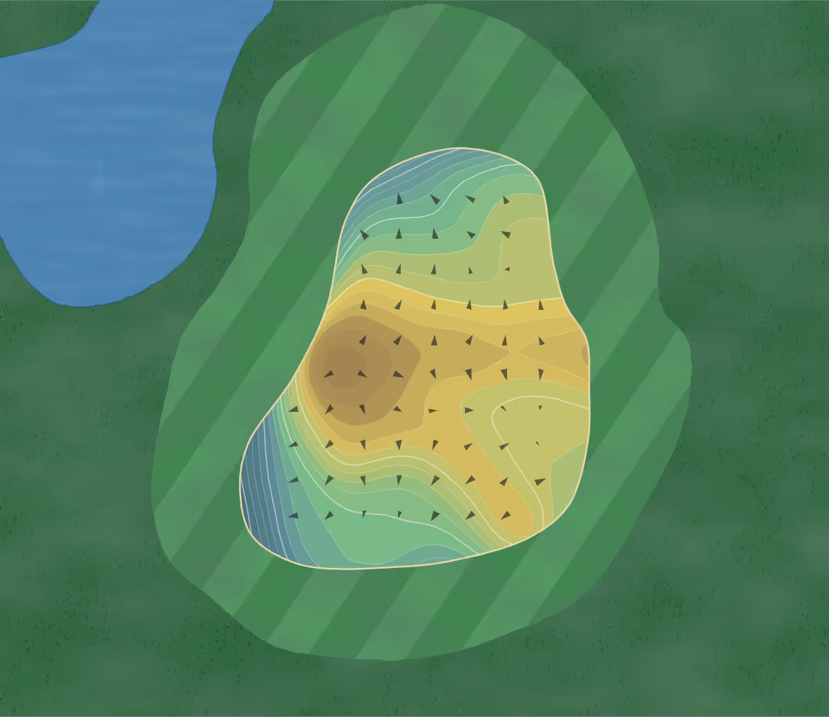 Green contour map of Bacon Park in Savannah, Georgia — 115 elevation contours at a 3-inch interval with fall-line arrows, traced from 1-meter lidar