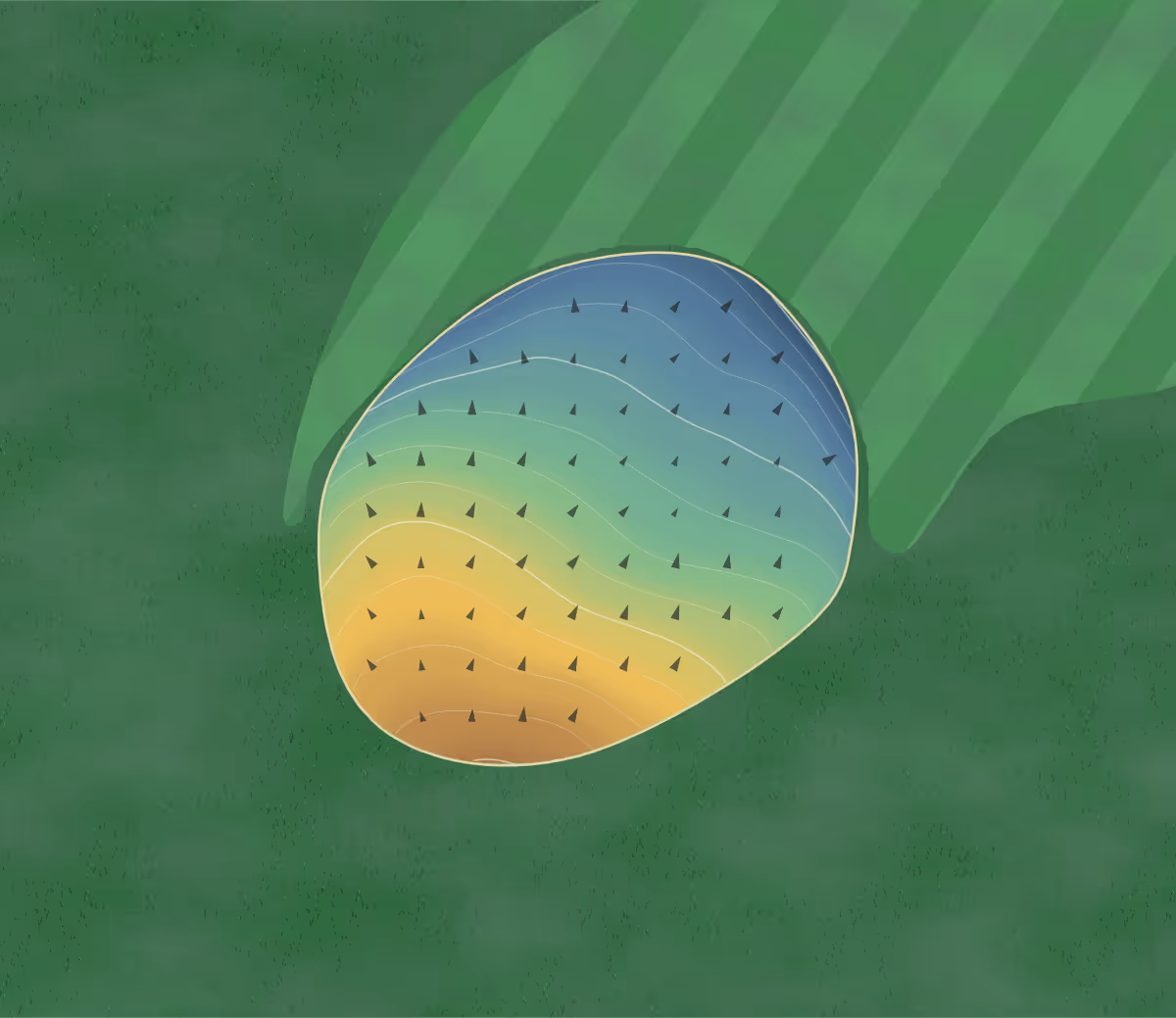 Green contour map of Bacons Par 3 in Parrsboro, Canada: 30 elevation contours at a 8-centimeter interval with fall-line arrows, traced from 1-meter lidar