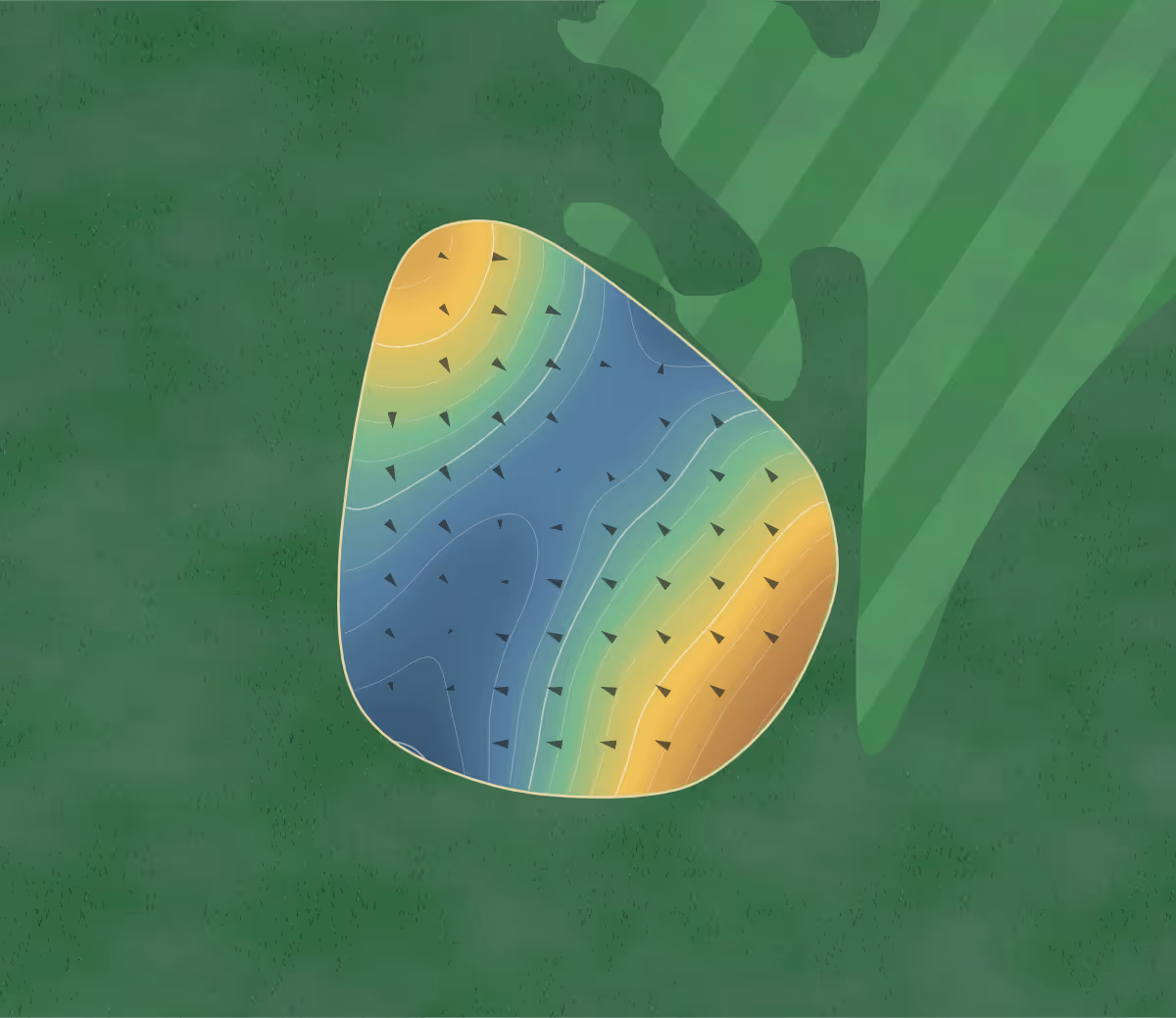 Green contour map of Bainbridge in Bainbridge, Georgia: 222 elevation contours at a 3-inch interval with fall-line arrows, traced from 1-meter lidar