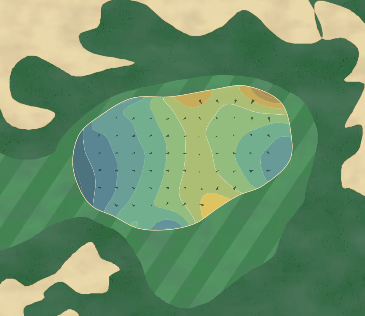 Green contour map of Bald Head in Bald Head Island, North Carolina — 207 elevation contours at a 3-inch interval with fall-line arrows, traced from 1-meter lidar