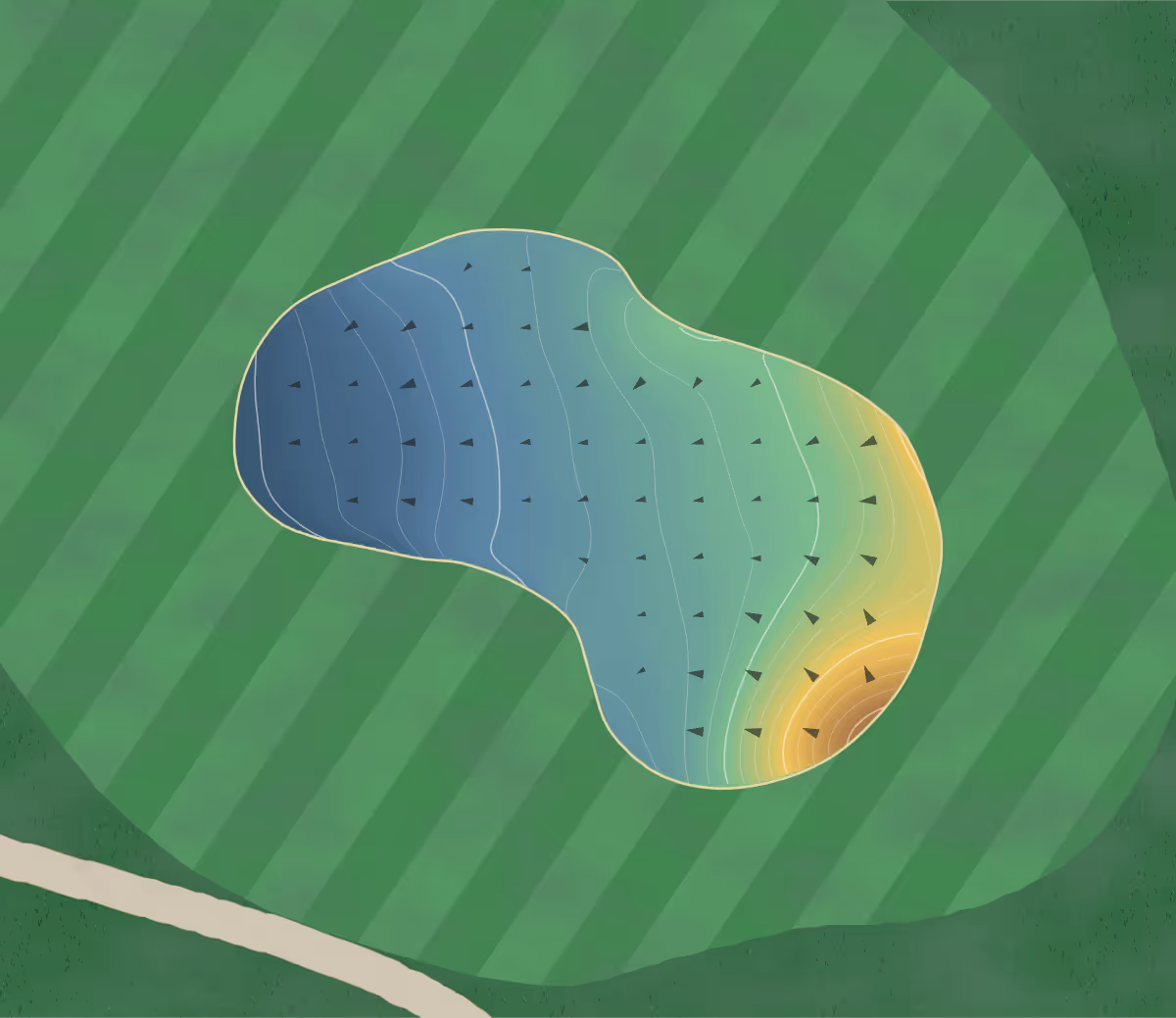 Green contour map of Ballina in Jameson Avenue, Australia — 131 elevation contours at a 8-centimeter interval with fall-line arrows, traced from 1-meter lidar