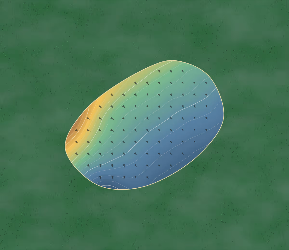 Green contour map of Bally Haly in St. John's, Canada: 101 elevation contours at a 8-centimeter interval with fall-line arrows, traced from 1-meter lidar