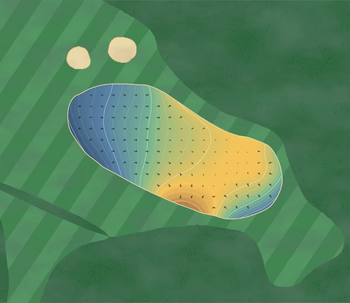 Green contour map of Baltray in Co. Louth, Ireland — 231 elevation contours at a 8-centimeter interval with fall-line arrows, traced from 1-meter lidar