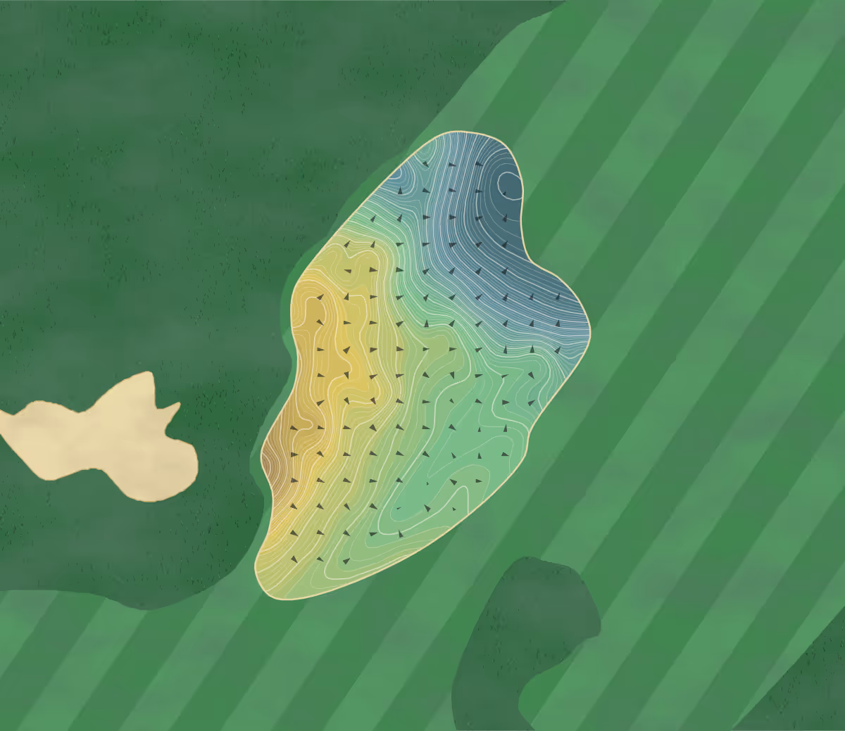 Green contour map of Bandon Preserve in Bandon, Oregon — 572 elevation contours at a 3-inch interval with fall-line arrows, traced from 1-meter lidar
