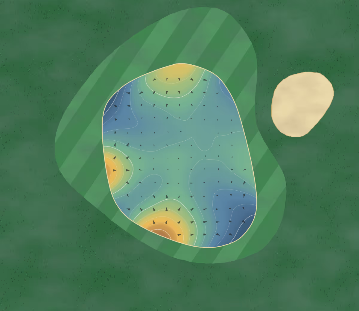 Green contour map of Bantys Roost in Caledon Village, Canada: 226 elevation contours at a 8-centimeter interval with fall-line arrows, traced from 1-meter lidar