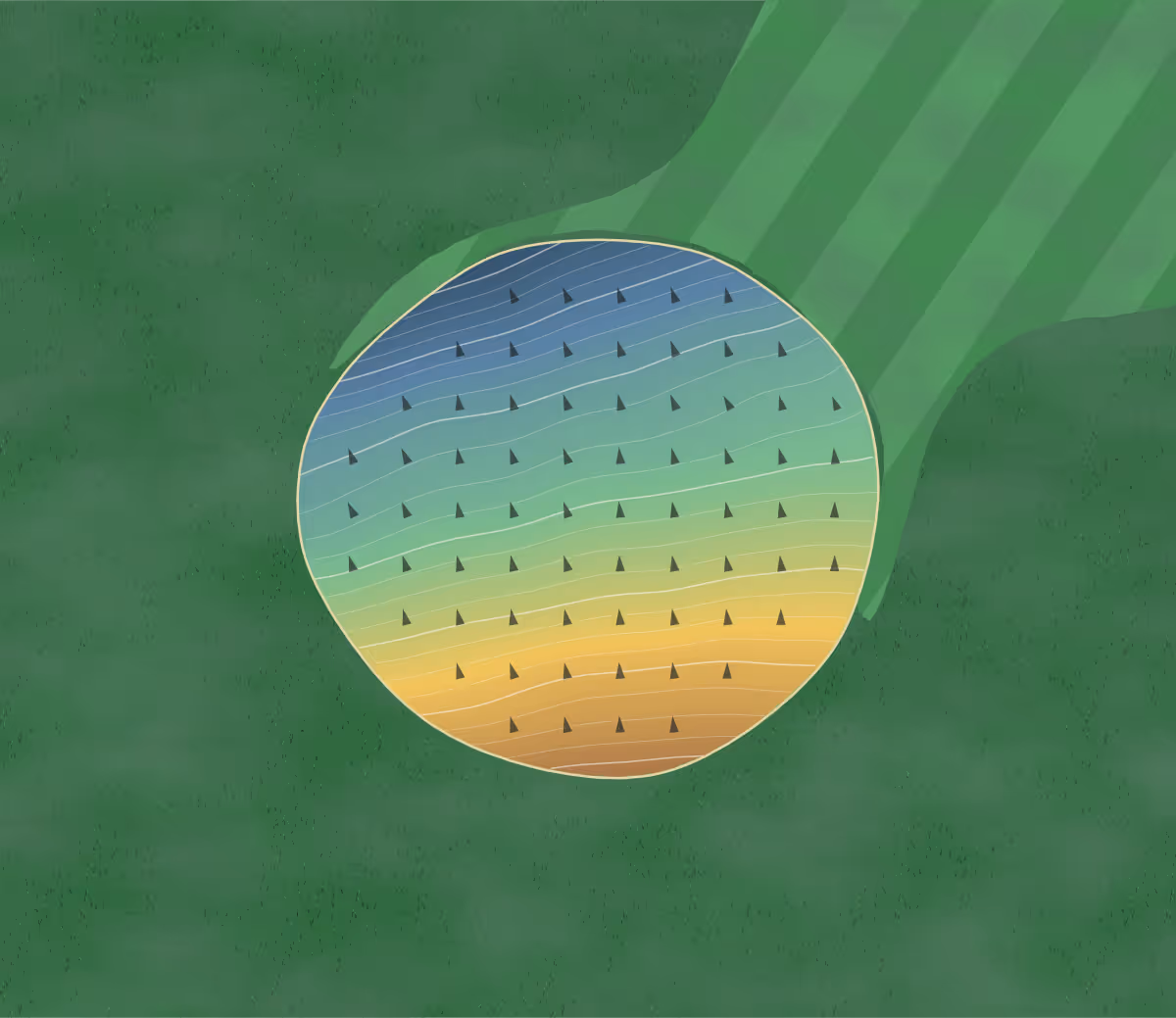 Green contour map of Barbour in Philippi, West Virginia: 119 elevation contours at a 3-inch interval with fall-line arrows, traced from 1-meter lidar