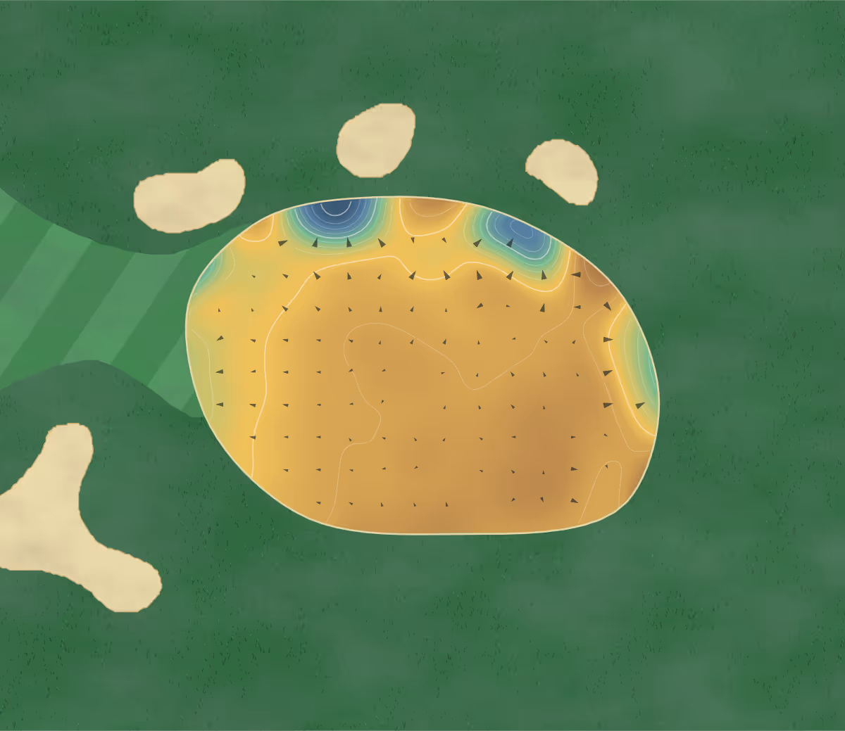 Green contour map of Barnham Broom in Norwich, England — 214 elevation contours at a 8-centimeter interval with fall-line arrows, traced from 1-meter lidar
