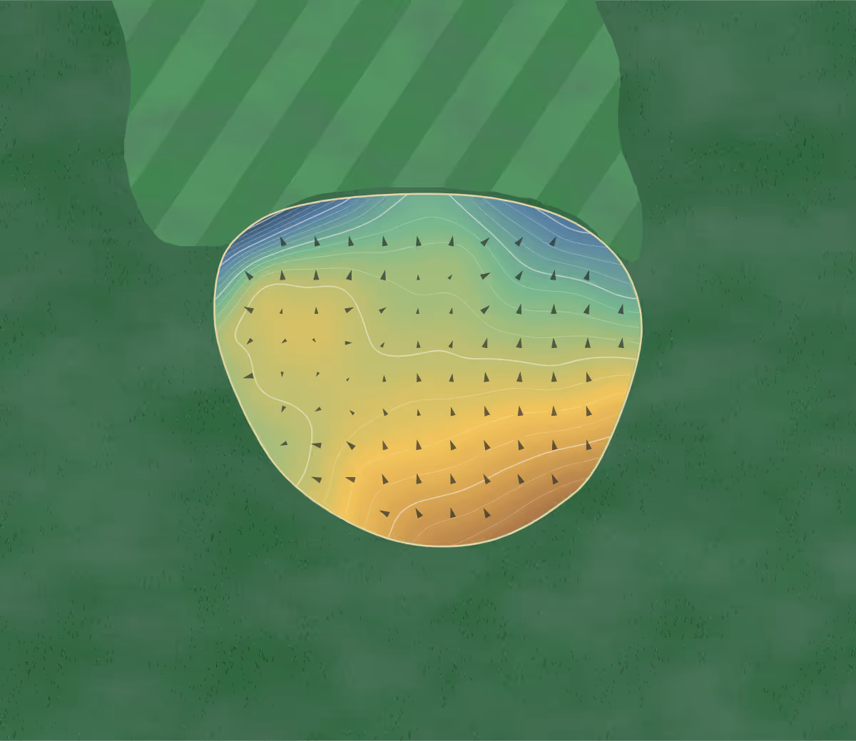 Green contour map of Baron Hill in Anglesey, Wales — 121 elevation contours at a 8-centimeter interval with fall-line arrows, traced from 1-meter lidar