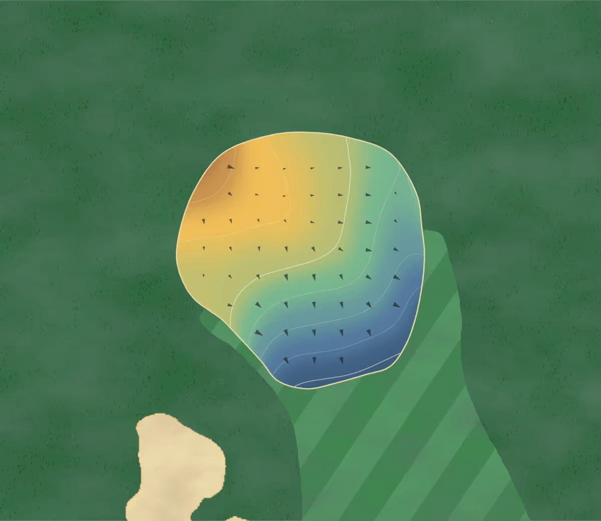 Green contour map of Bay of Quinte in Canada — 7 elevation contours at a 8-centimeter interval with fall-line arrows, traced from 1-meter lidar