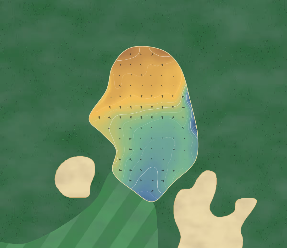 Green contour map of Bayonet at Puppy Creek in Raeford, North Carolina — 232 elevation contours at a 3-inch interval with fall-line arrows, traced from 1-meter lidar