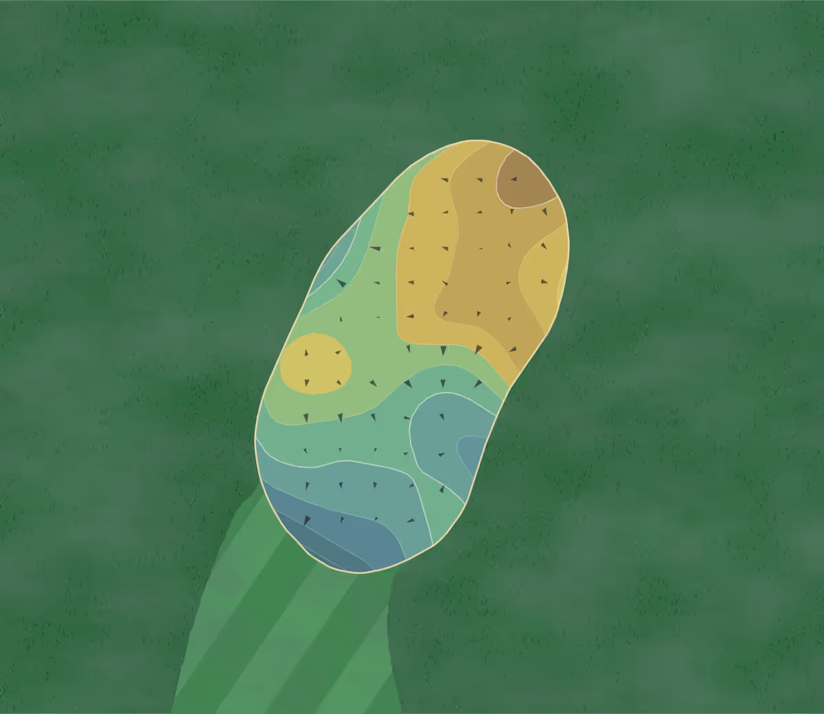 Green contour map of Bayou Golf Club in Texas City, Texas — 29 elevation contours at a 3-inch interval with fall-line arrows, traced from 1-meter lidar