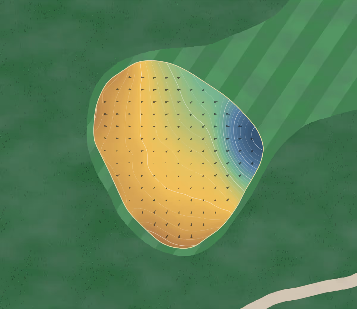 Green contour map of Beacon Hall in Aurora, Canada: 195 elevation contours at a 8-centimeter interval with fall-line arrows, traced from 1-meter lidar