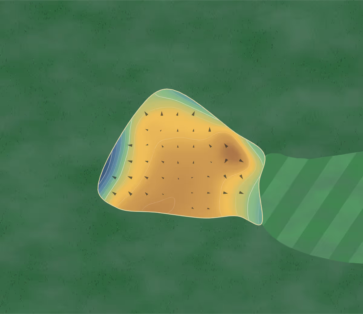 Green contour map of Beacon Park in Lichfield, England: 123 elevation contours at a 8-centimeter interval with fall-line arrows, traced from 1-meter lidar