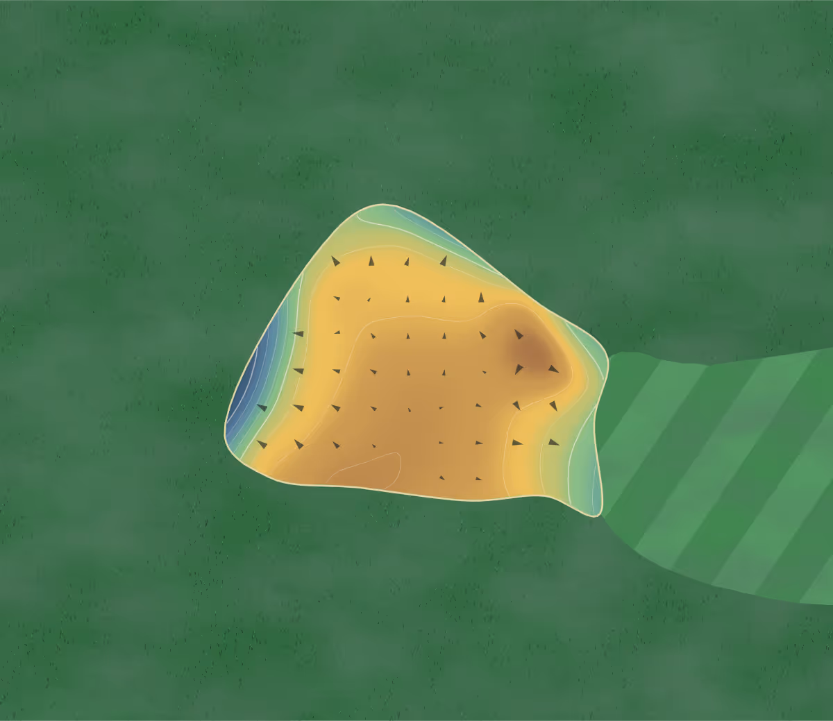 Green contour map of Beacon Park in Lichfield, England — 123 elevation contours at a 8-centimeter interval with fall-line arrows, traced from 1-meter lidar