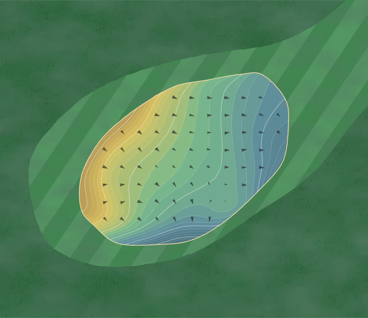 Green contour map of Bear Creek in Monroe, Georgia — 237 elevation contours at a 3-inch interval with fall-line arrows, traced from 1-meter lidar