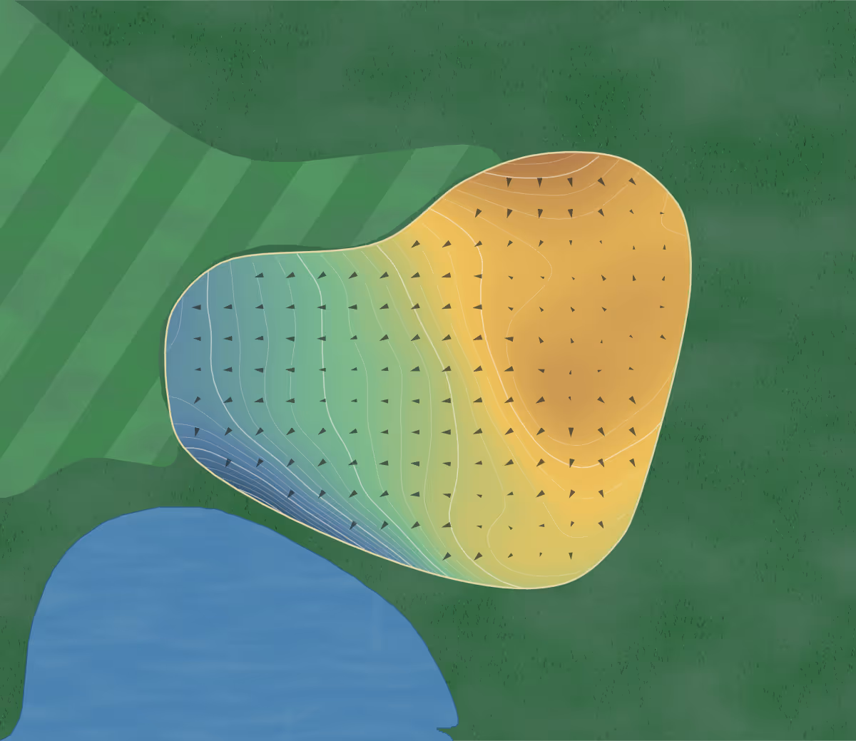 Green contour map of Bear Creek in Forest City, Iowa: 209 elevation contours at a 3-inch interval with fall-line arrows, traced from 1-meter lidar