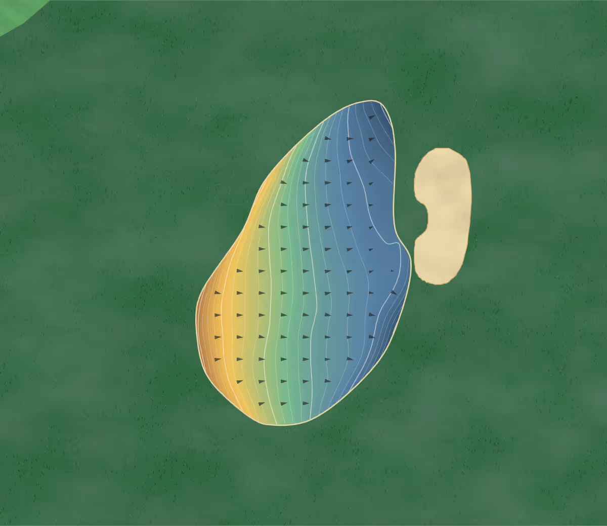 Green contour map of Bear Creek Valley in Osage Beach, Missouri — 285 elevation contours at a 3-inch interval with fall-line arrows, traced from 1-meter lidar