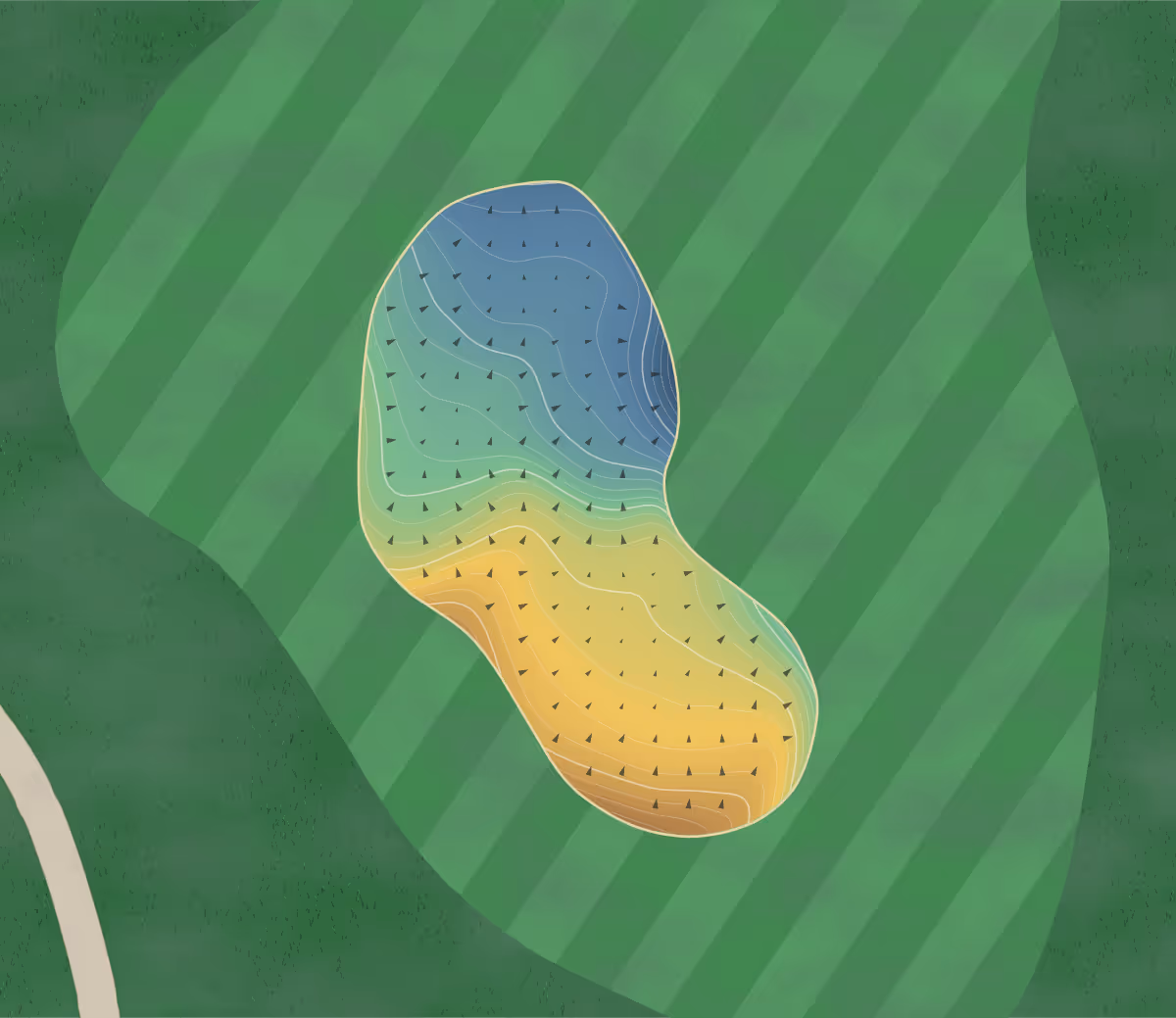 Green contour map of Valley Course in Victoria, Canada: 287 elevation contours at a 8-centimeter interval with fall-line arrows, traced from 1-meter lidar
