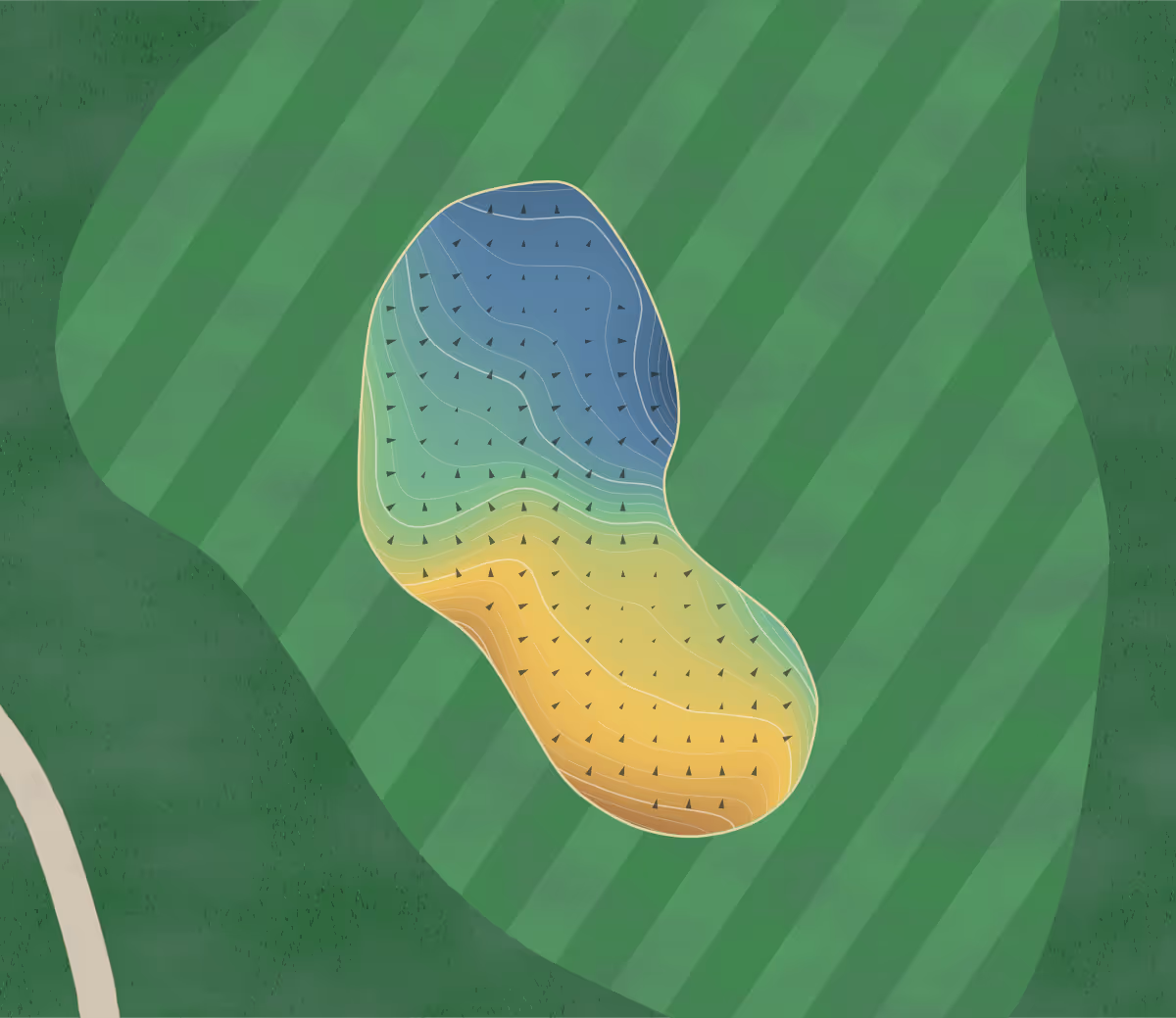 Green contour map of Valley Course in Victoria, Canada — 283 elevation contours at a 8-centimeter interval with fall-line arrows, traced from 1-meter lidar