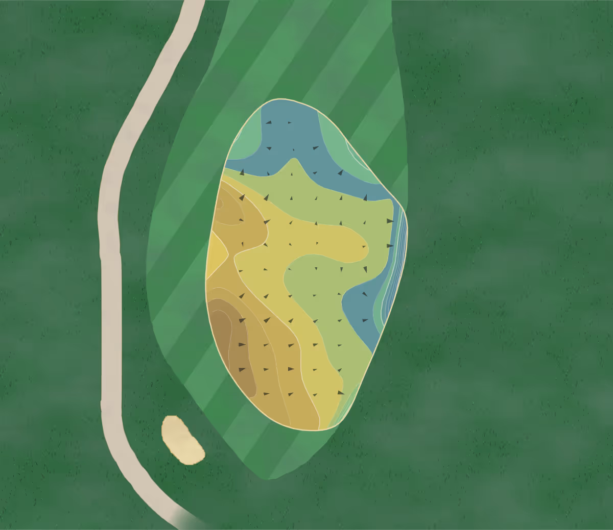 Green contour map of Bear's Paw in Naples, Florida — 48 elevation contours at a 3-inch interval with fall-line arrows, traced from 1-meter lidar