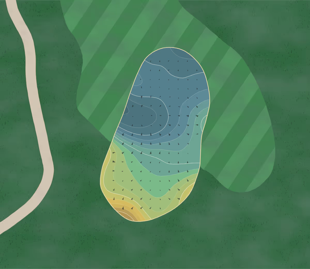 Green contour map of Bearpath in Eden Prairie, Minnesota — 192 elevation contours at a 3-inch interval with fall-line arrows, traced from 1-meter lidar