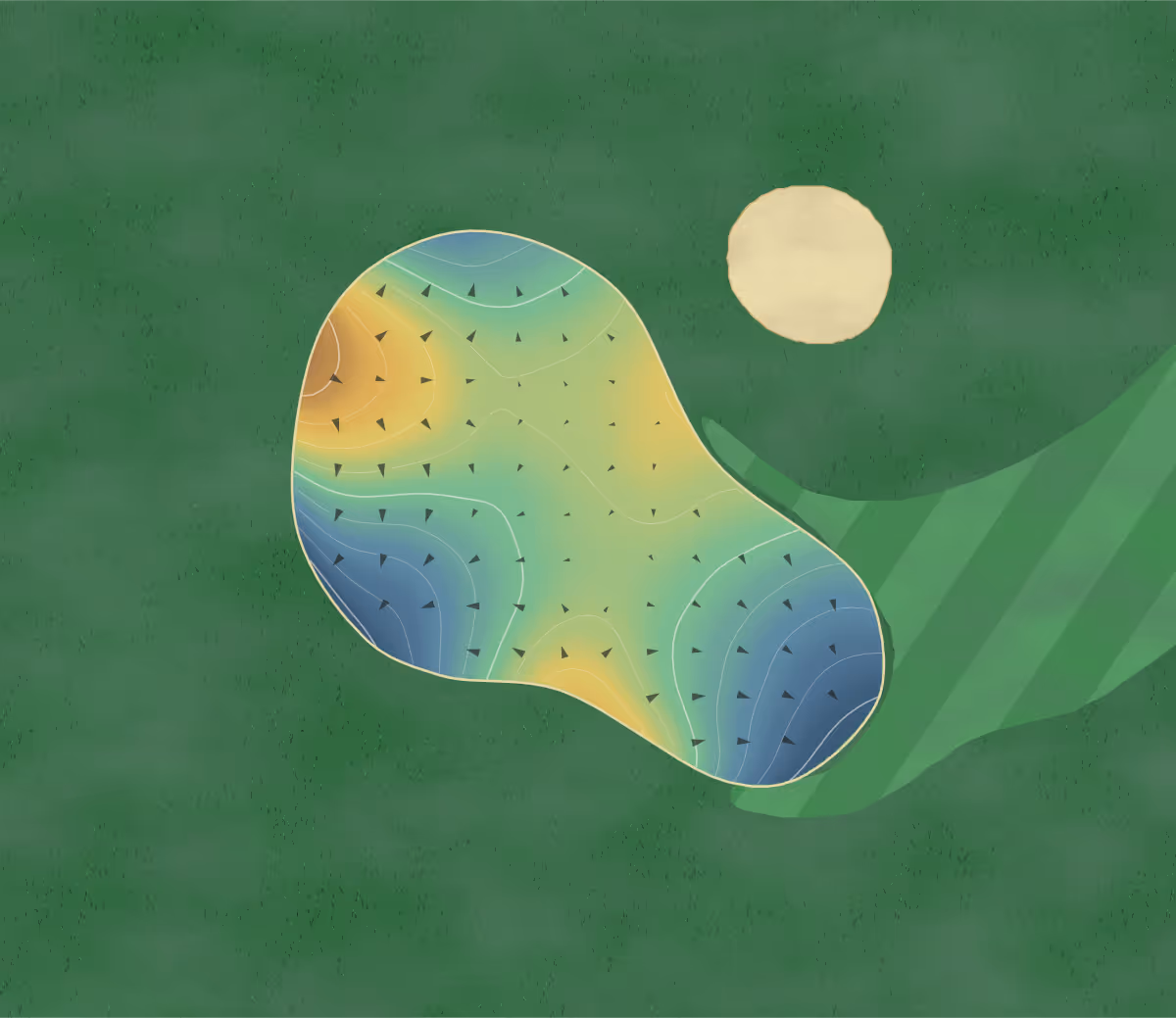 Green contour map of Bears Den in Park Rapids, Minnesota — 125 elevation contours at a 3-inch interval with fall-line arrows, traced from 1-meter lidar