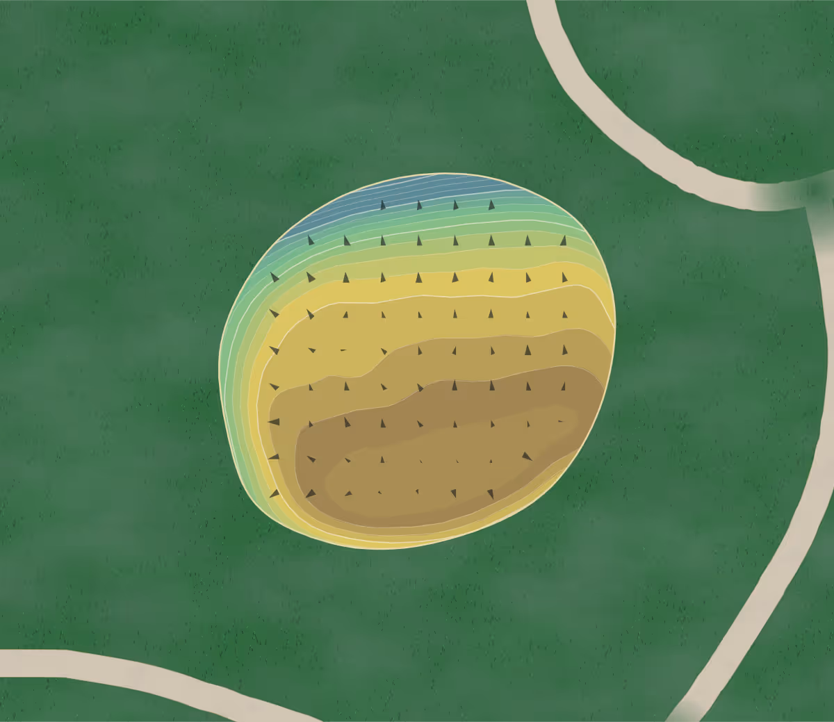 Green contour map of Beech Hollow in Freeland, Michigan — 237 elevation contours at a 3-inch interval with fall-line arrows, traced from 1-meter lidar