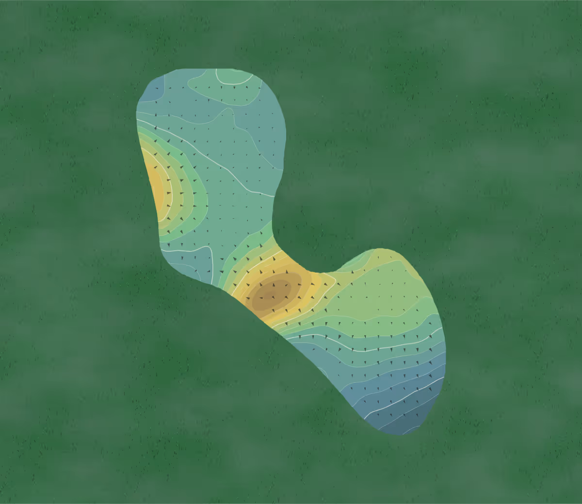Green contour map of The Beeches in South Haven, Michigan — 245 elevation contours at a 3-inch interval with fall-line arrows, traced from 1-meter lidar
