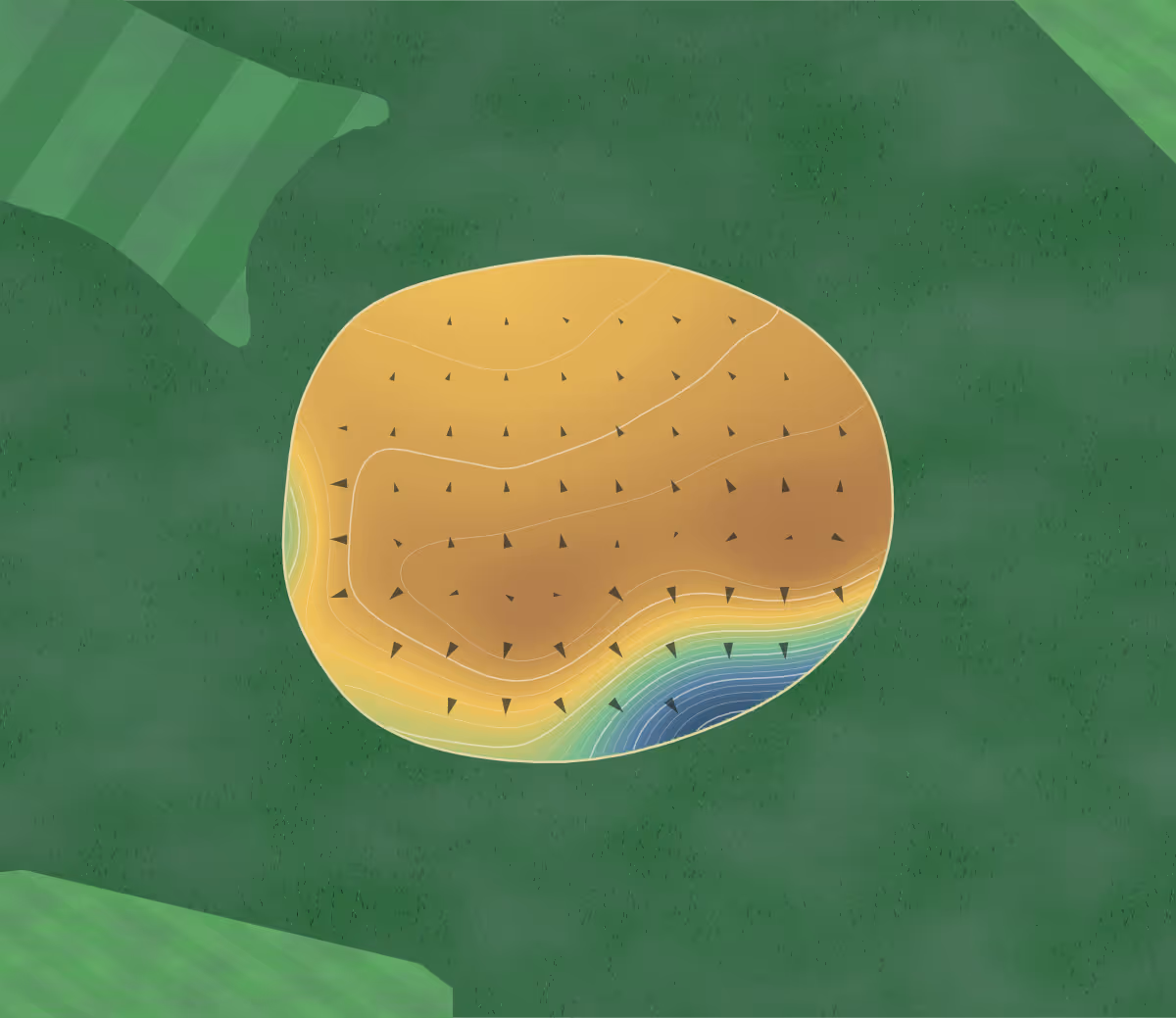 Green contour map of Beechwood in La Porte, Indiana: 272 elevation contours at a 3-inch interval with fall-line arrows, traced from 1-meter lidar