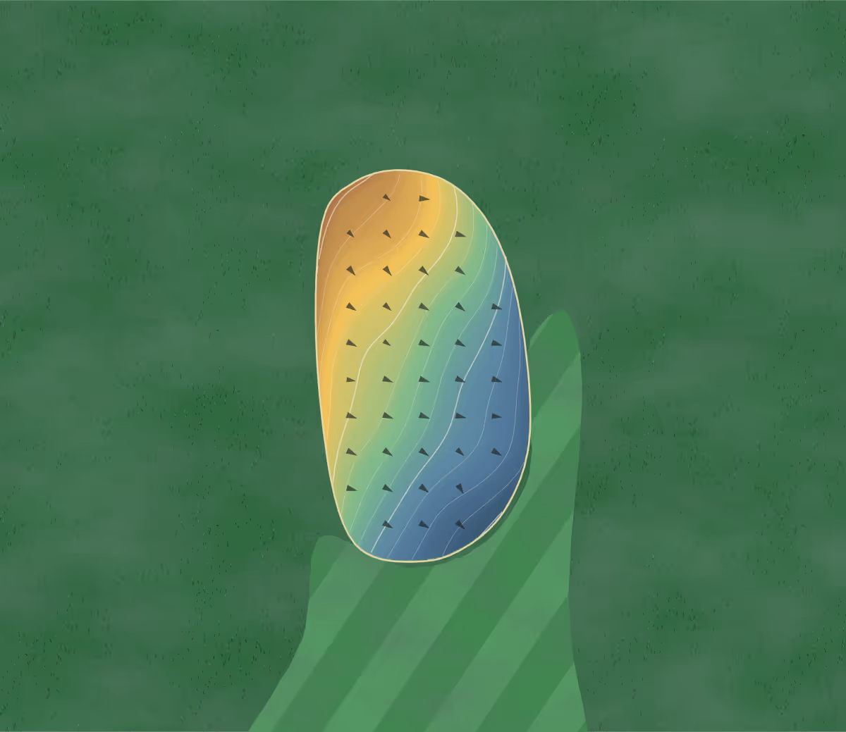 Green contour map of Belden Hill Golf Course in Belden, New York: 173 elevation contours at a 3-inch interval with fall-line arrows, traced from 1-meter lidar