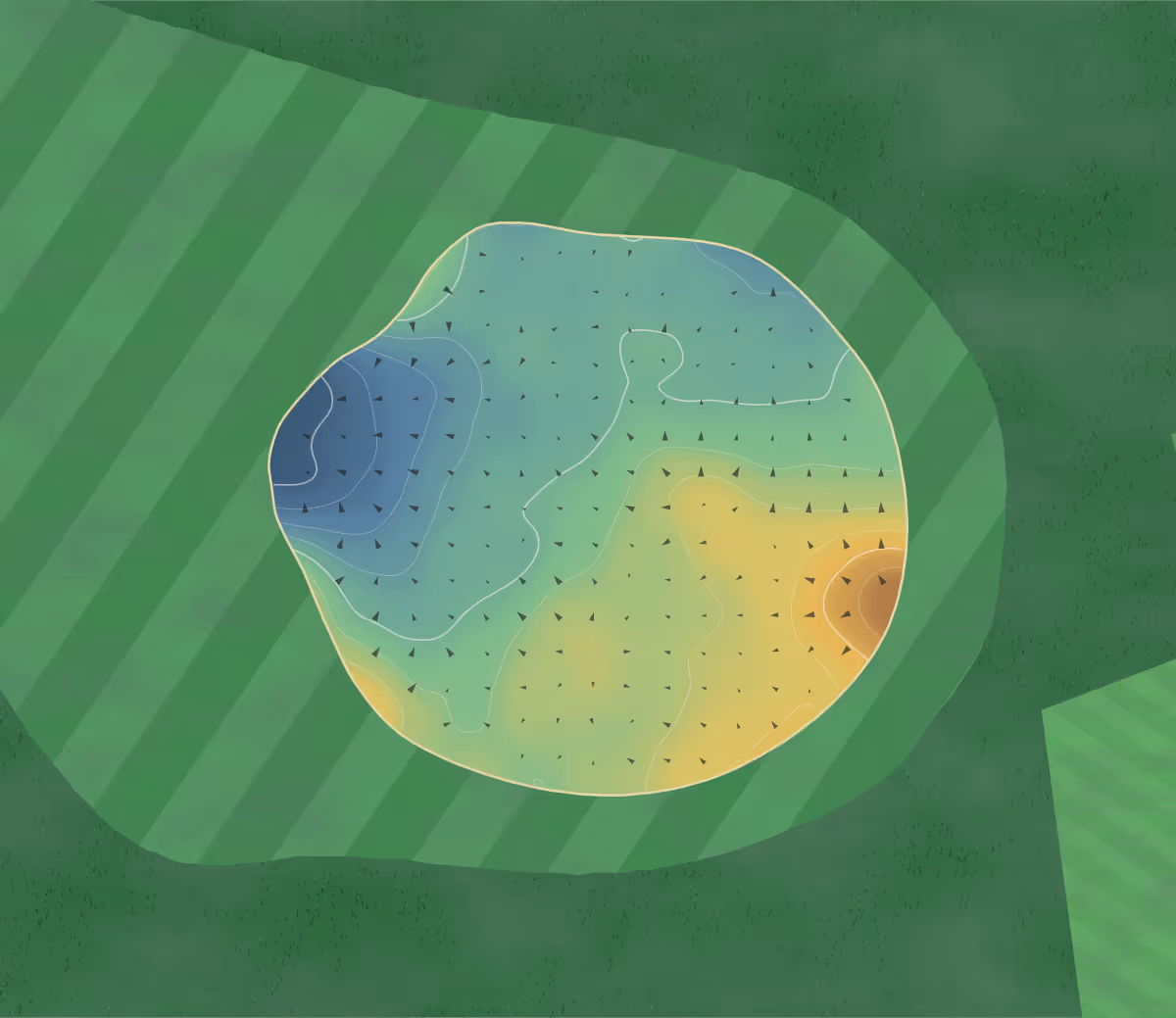Green contour map of Belleisle & Seafield in Ayr, Scotland — 142 elevation contours at a 8-centimeter interval with fall-line arrows, traced from 1-meter lidar