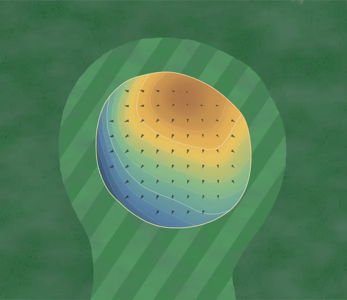 Green contour map of Belmond in Belmond, Iowa — 73 elevation contours at a 3-inch interval with fall-line arrows, traced from 1-meter lidar