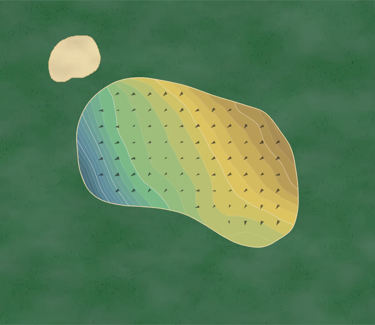Green contour map of Belmont Country in Belmont, Massachusetts — 207 elevation contours at a 3-inch interval with fall-line arrows, traced from 1-meter lidar