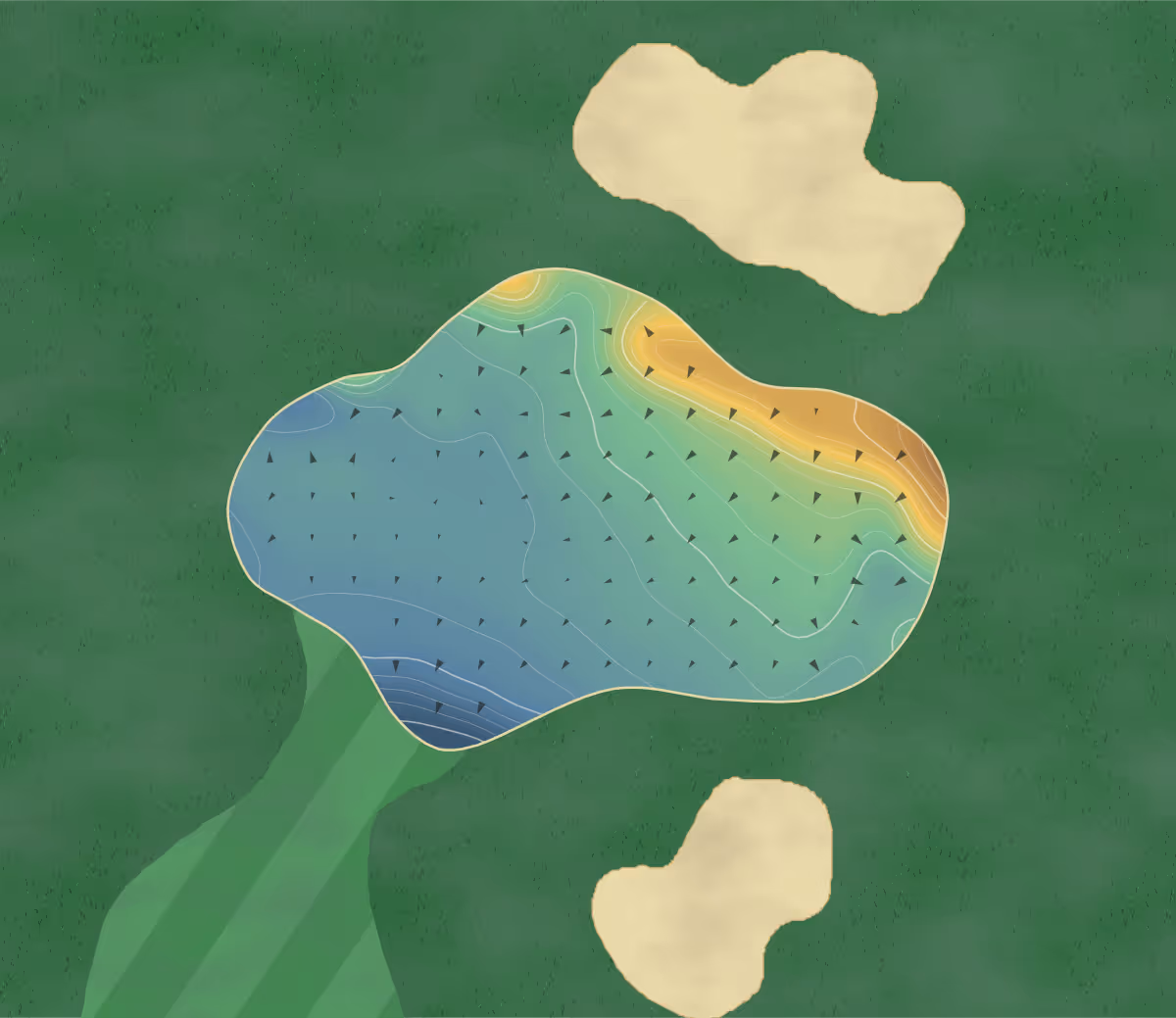 Green contour map of Belmont in Langley, Canada — 197 elevation contours at a 8-centimeter interval with fall-line arrows, traced from 1-meter lidar