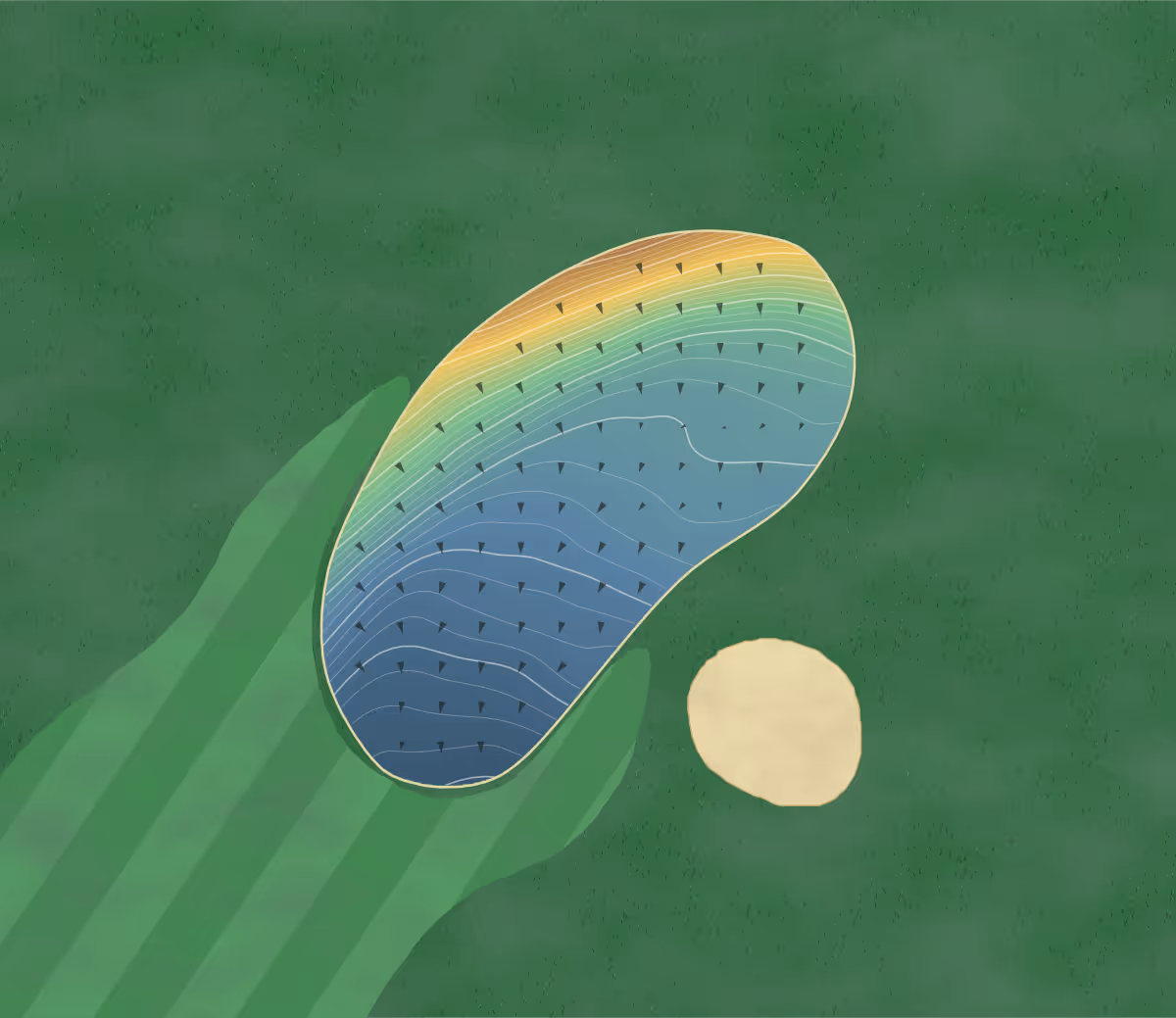 Green contour map of Belton Woods in Grantham, England: 156 elevation contours at a 8-centimeter interval with fall-line arrows, traced from 1-meter lidar