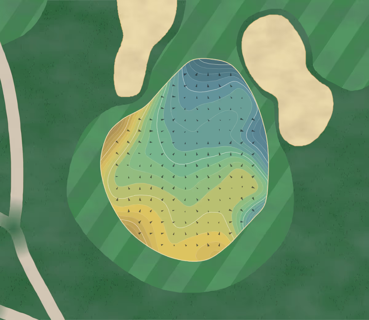 Green contour map of Belvedere in Charlevoix, Michigan — 344 elevation contours at a 3-inch interval with fall-line arrows, traced from 1-meter lidar