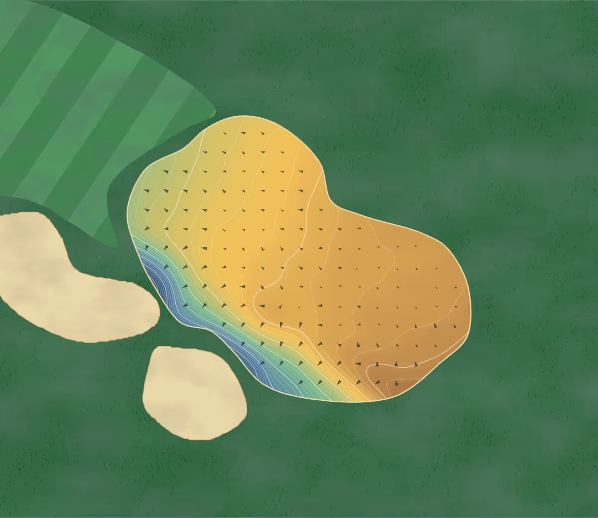 Green contour map of Belvoir Park in Newtownbreda, Northern Ireland: 254 elevation contours at a 8-centimeter interval with fall-line arrows, traced from 1-meter lidar