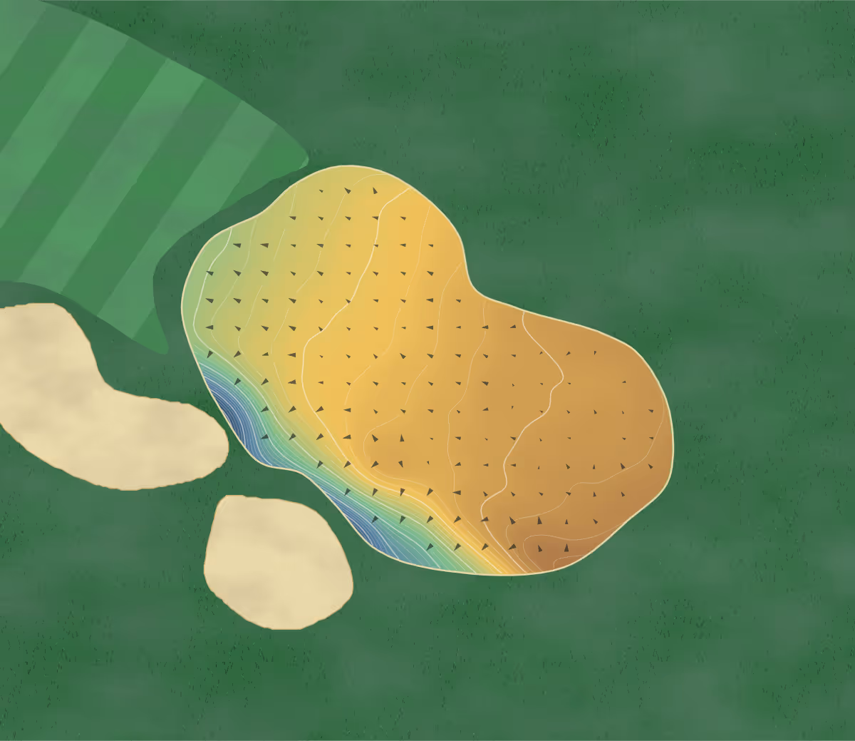 Green contour map of Belvoir Park in Newtownbreda, Northern Ireland — 245 elevation contours at a 8-centimeter interval with fall-line arrows, traced from 1-meter lidar