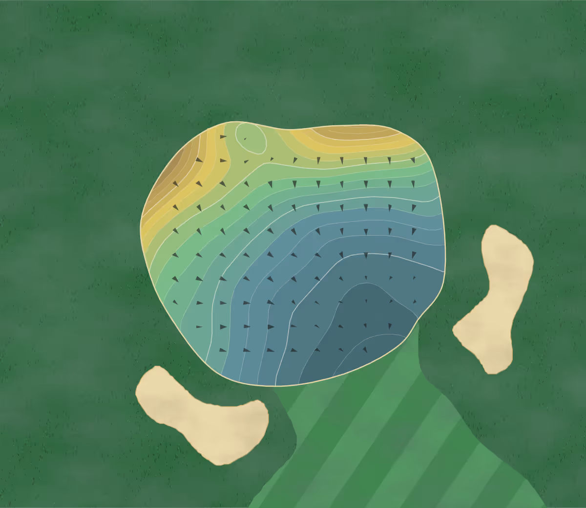Green contour map of Bemidji Town in Bemidji, Minnesota — 253 elevation contours at a 3-inch interval with fall-line arrows, traced from 1-meter lidar