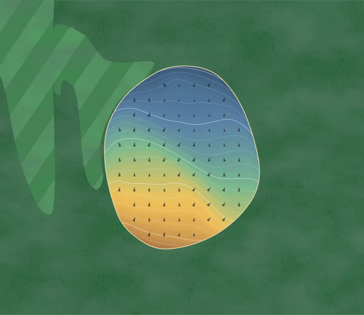 Green contour map of Benton CC in Benton, Kentucky: 173 elevation contours at a 3-inch interval with fall-line arrows, traced from 1-meter lidar