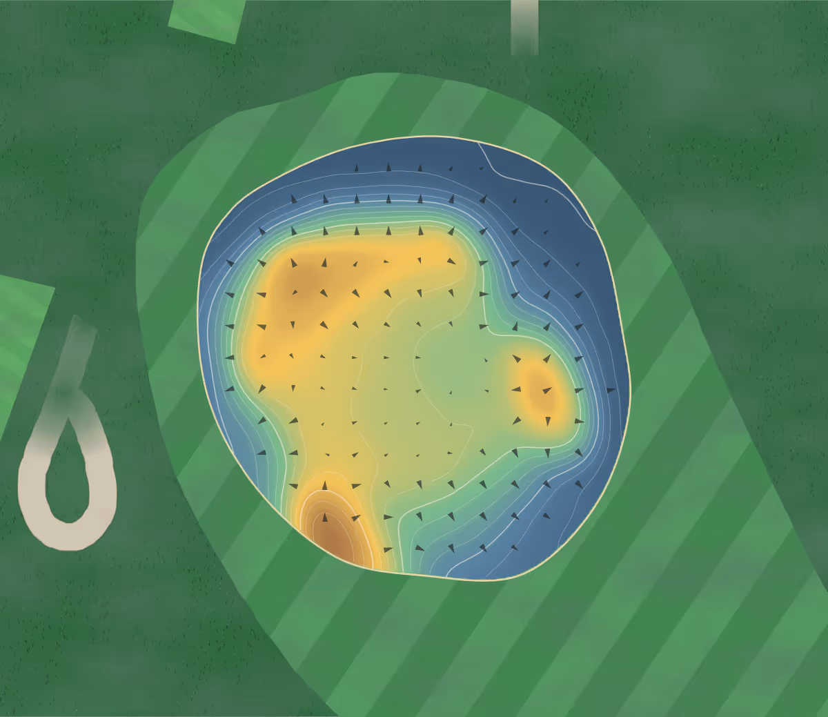 Green contour map of Beresfield in Beresfield, Australia — 125 elevation contours at a 8-centimeter interval with fall-line arrows, traced from 1-meter lidar