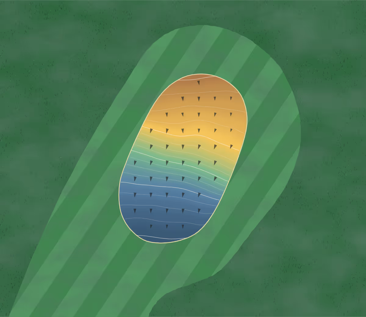 Green contour map of Berhampore in Wellington, New Zealand — 172 elevation contours at a 8-centimeter interval with fall-line arrows, traced from 1-meter lidar