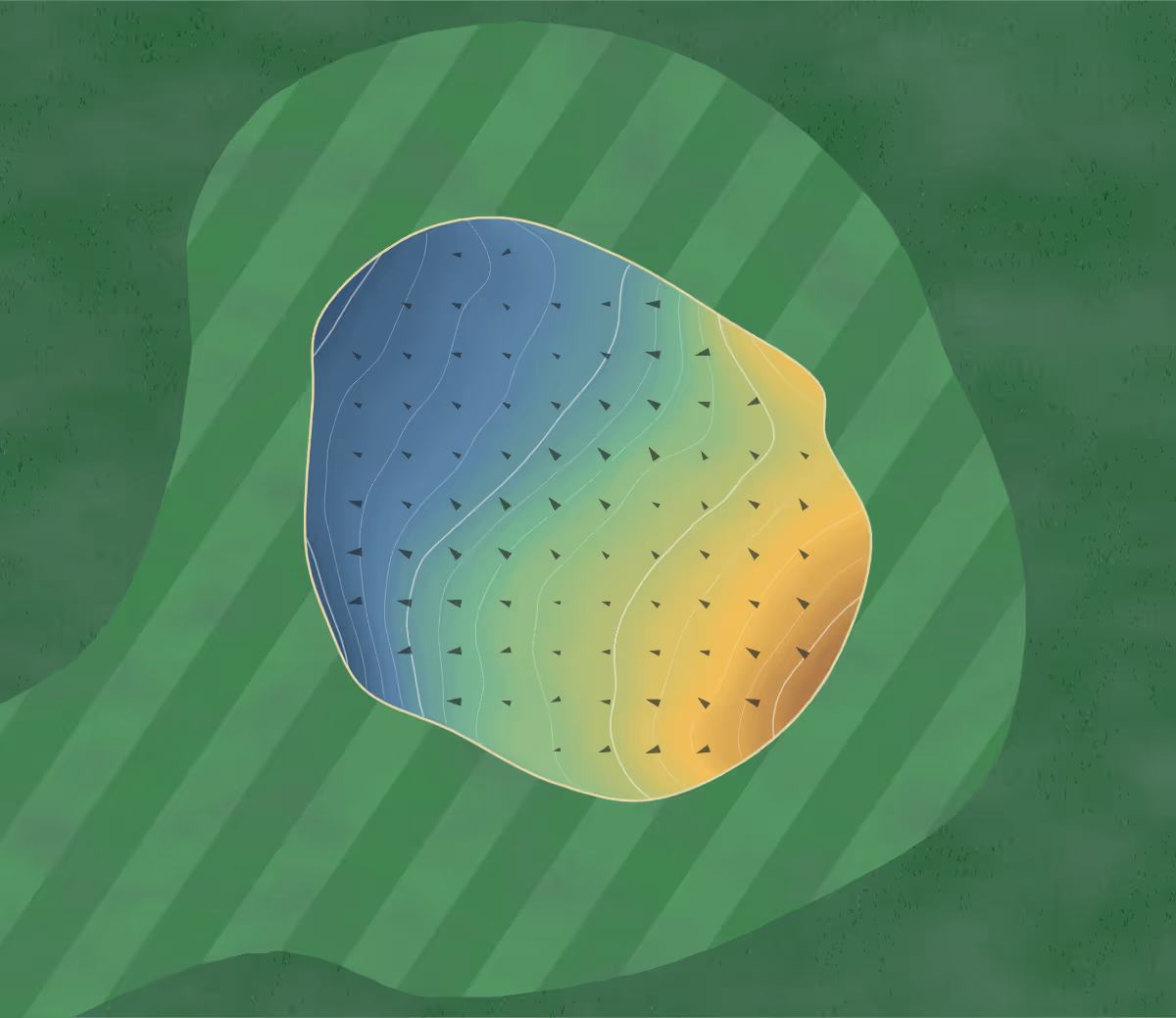 Green contour map of Bermagui in Bermagui South, Australia — 176 elevation contours at a 8-centimeter interval with fall-line arrows, traced from 1-meter lidar