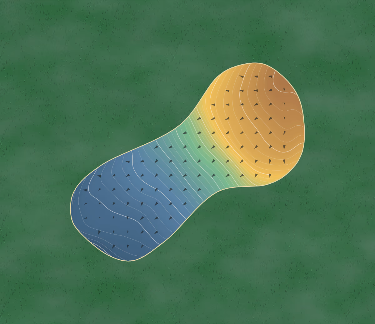Green contour map of Beverly Park Junior in La Follette, Tennessee: 76 elevation contours at a 3-inch interval with fall-line arrows, traced from 1-meter lidar