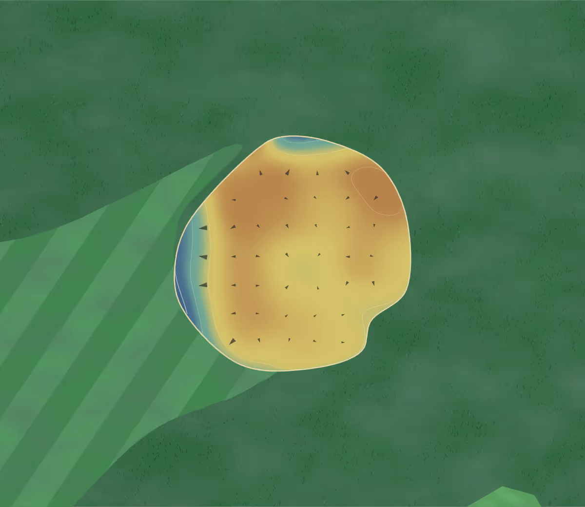 Green contour map of Big Cedar in Innisfil, Canada: 45 elevation contours at a 8-centimeter interval with fall-line arrows, traced from 1-meter lidar